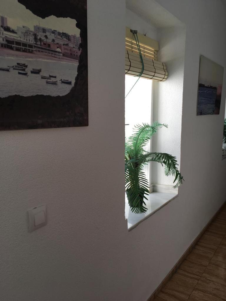 Fantoni Guest house